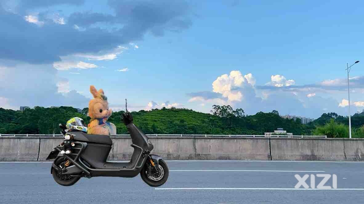 量力而行