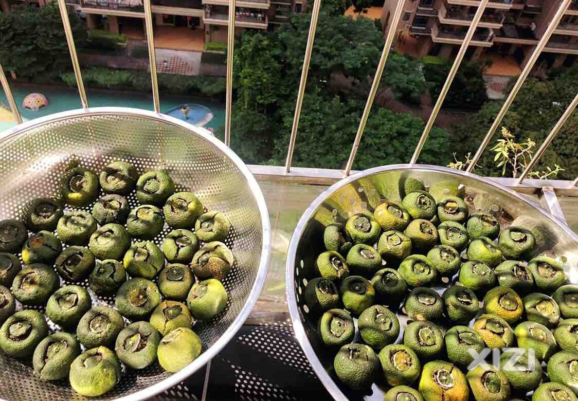 在小小的阳台里呀晒呀晒呀晒