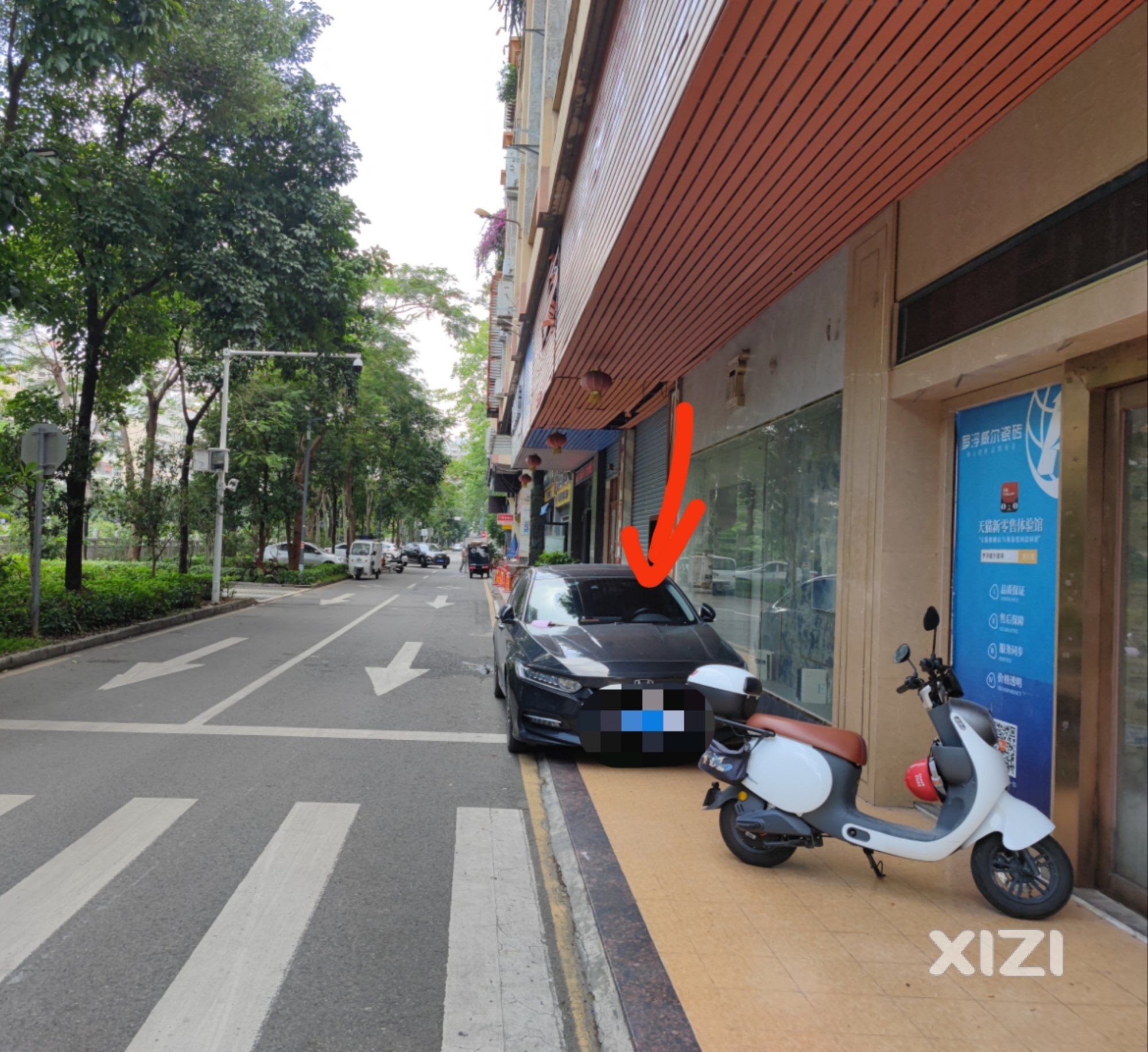 求助交通知识科普，这种算违停吗？