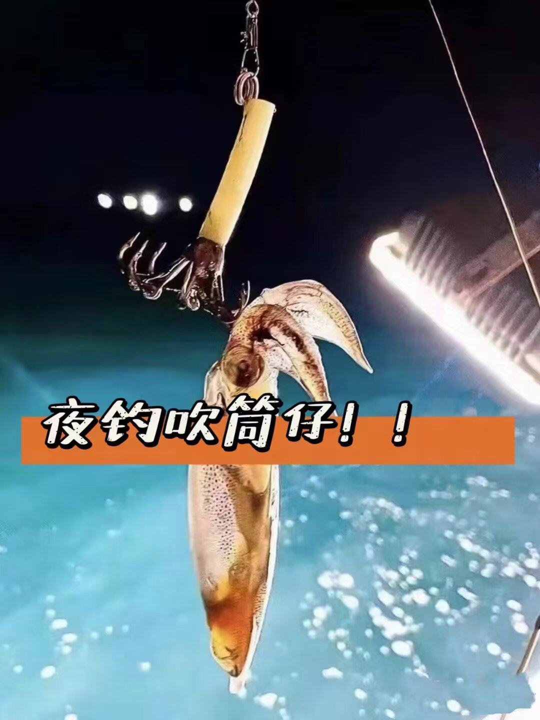 夜钓吹筒仔！有兴趣约起！