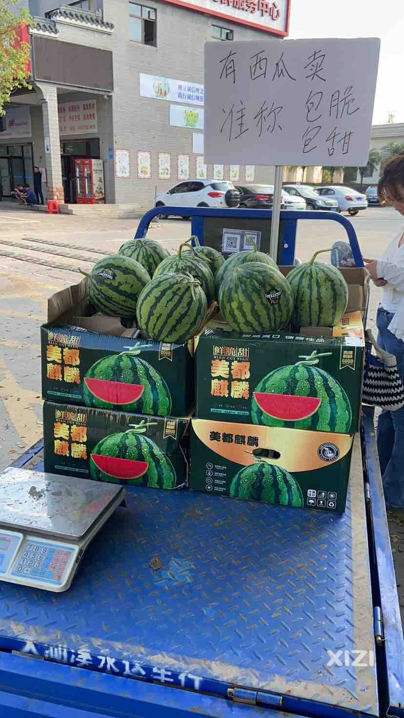 失业了，想去摆地摊