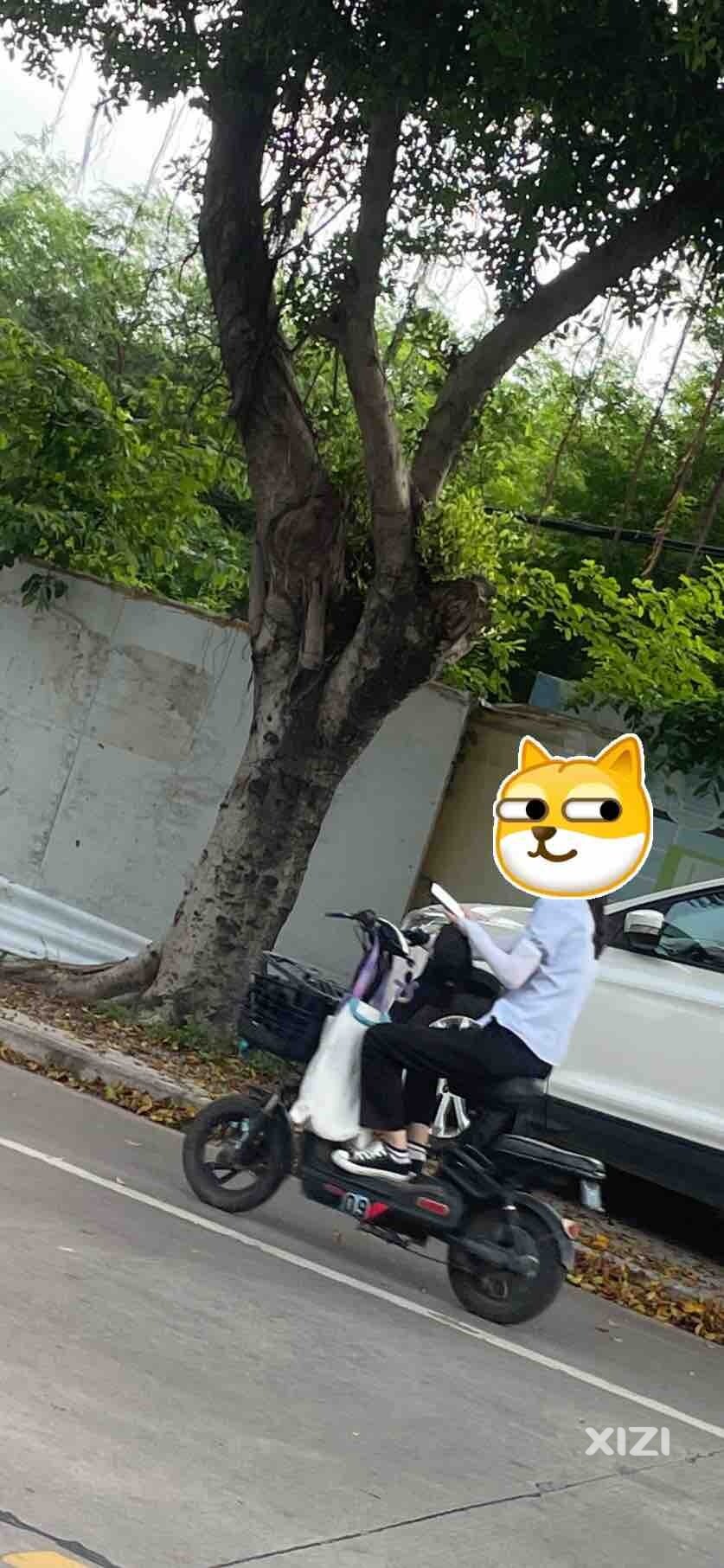 手机这么好玩？！