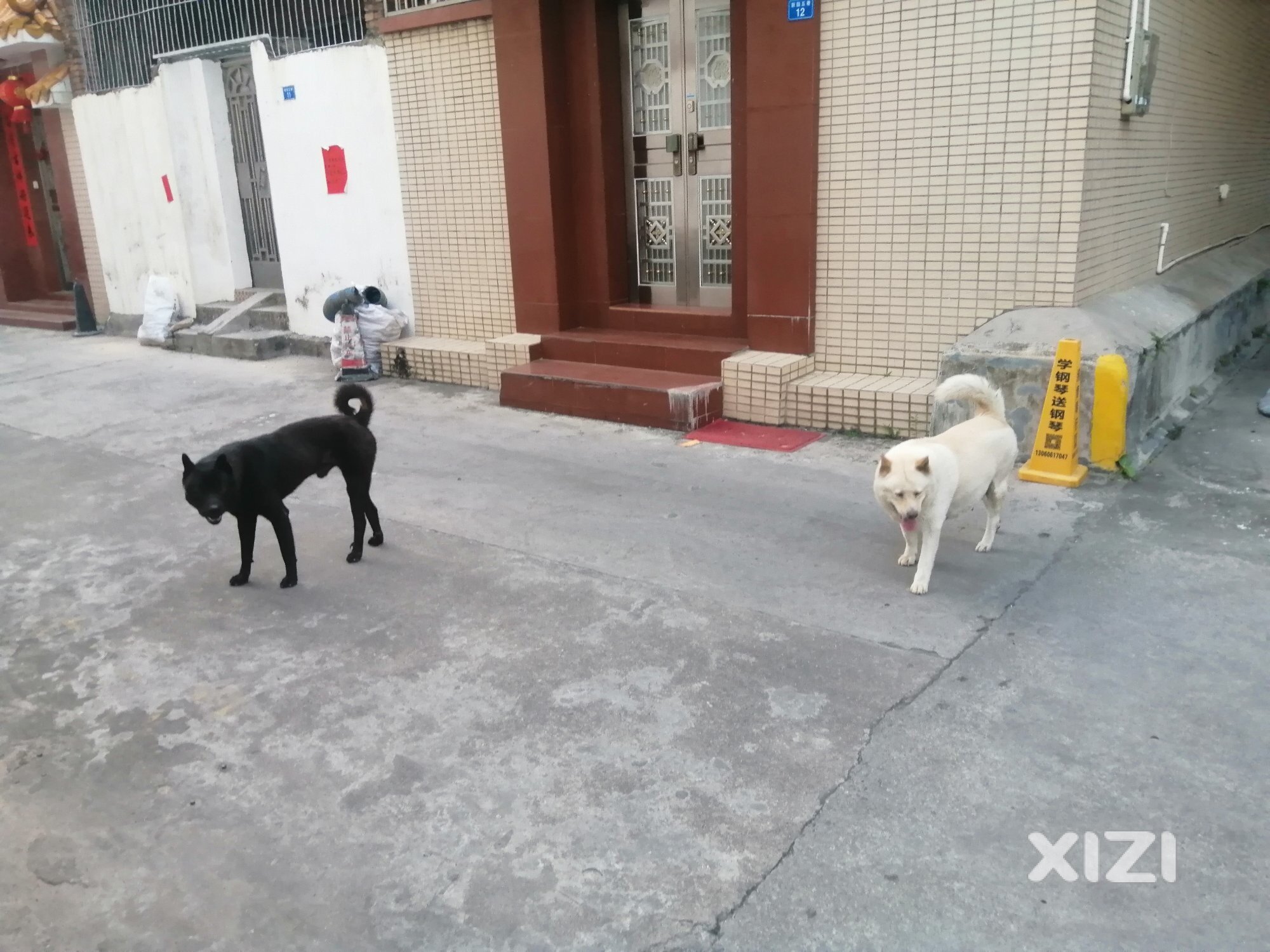 平山街道园岭居委会进来一下