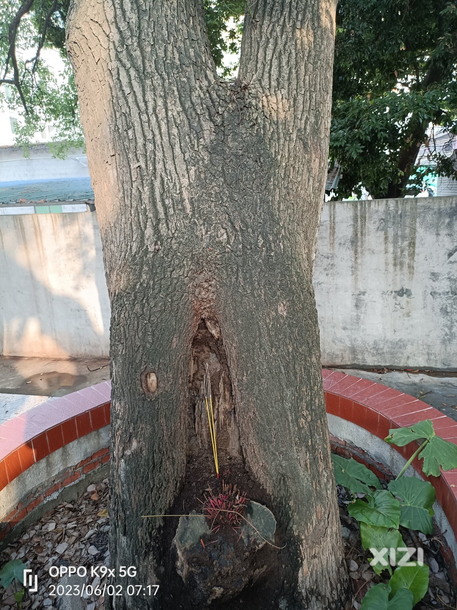 顺顺利利[小红花][小红花][小红花]今早十