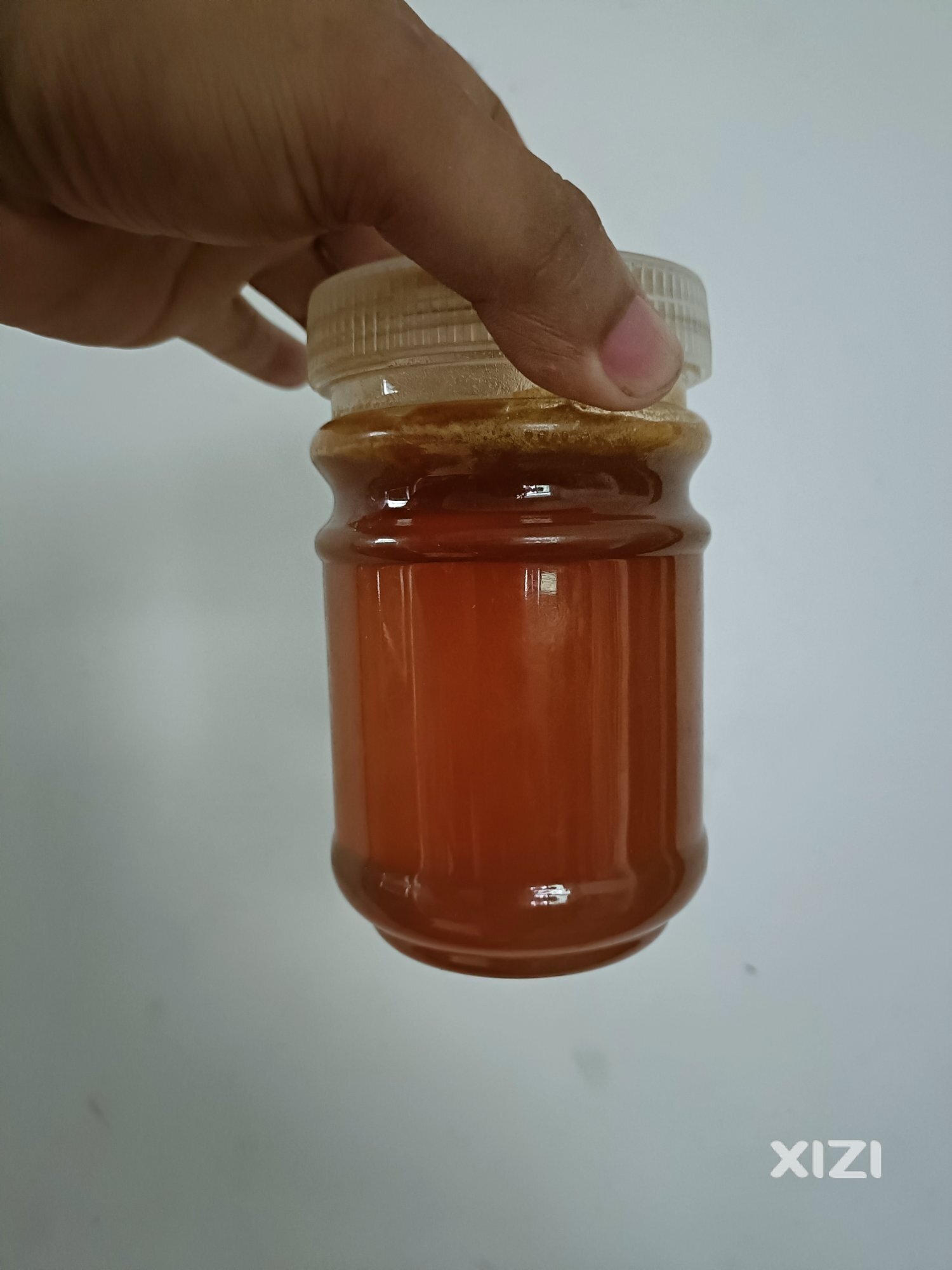 纯野生蜜蜂