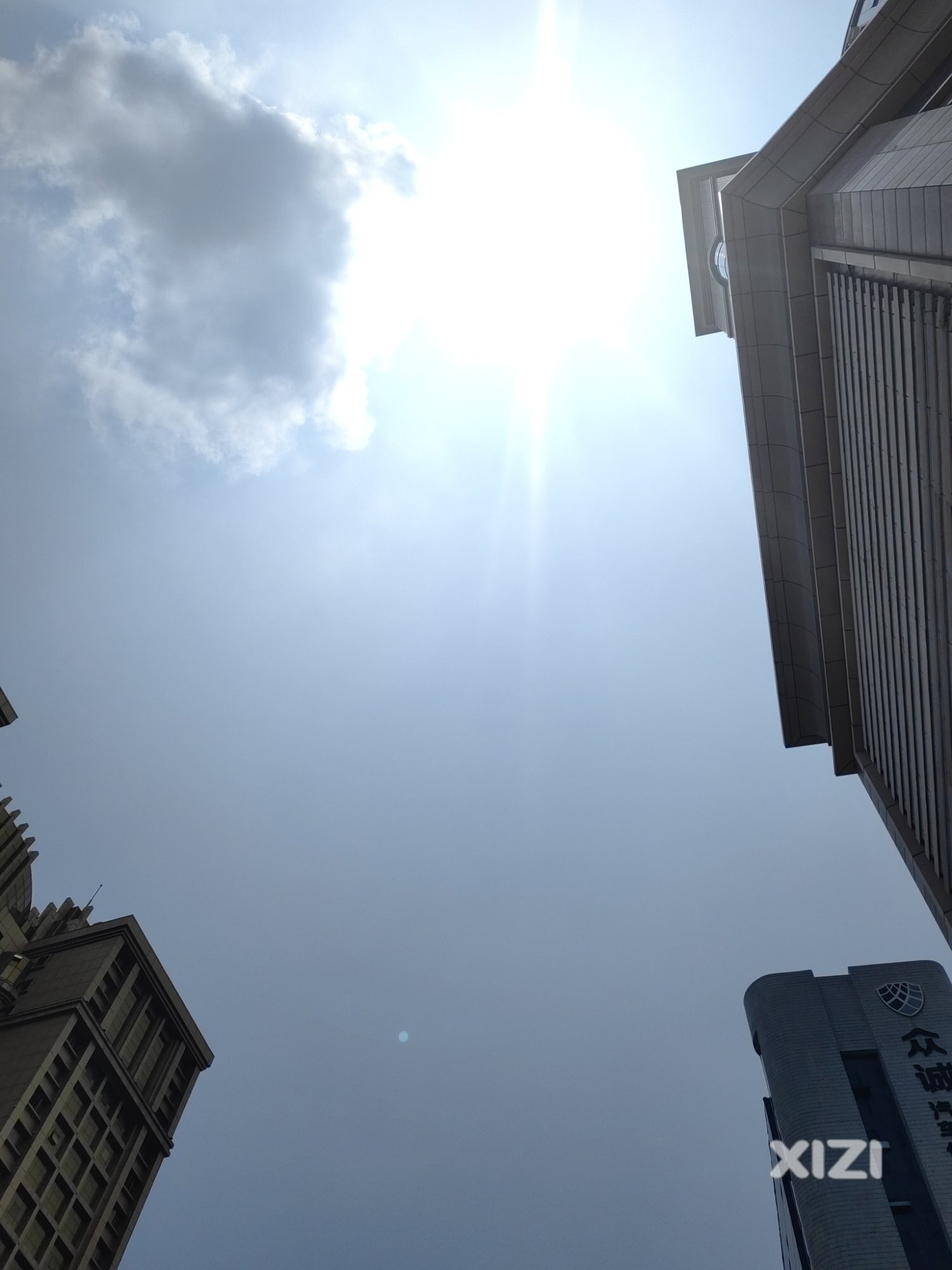 今天的太阳格外焦灼，