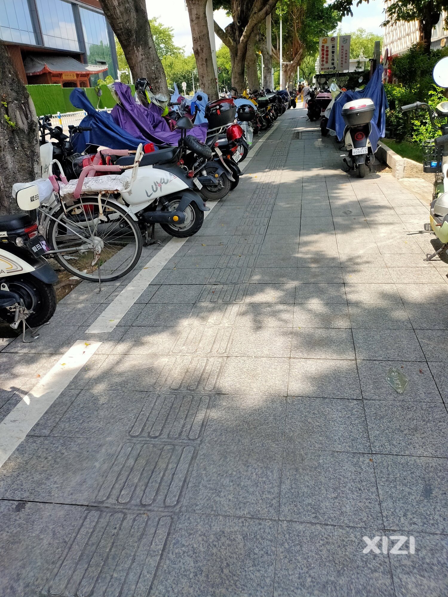 这个地方的电动车能不