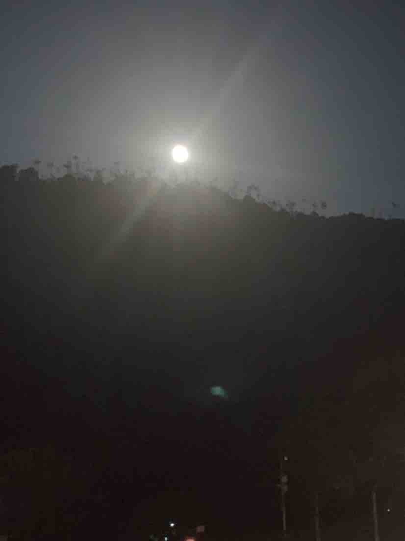 千里共大亚湾