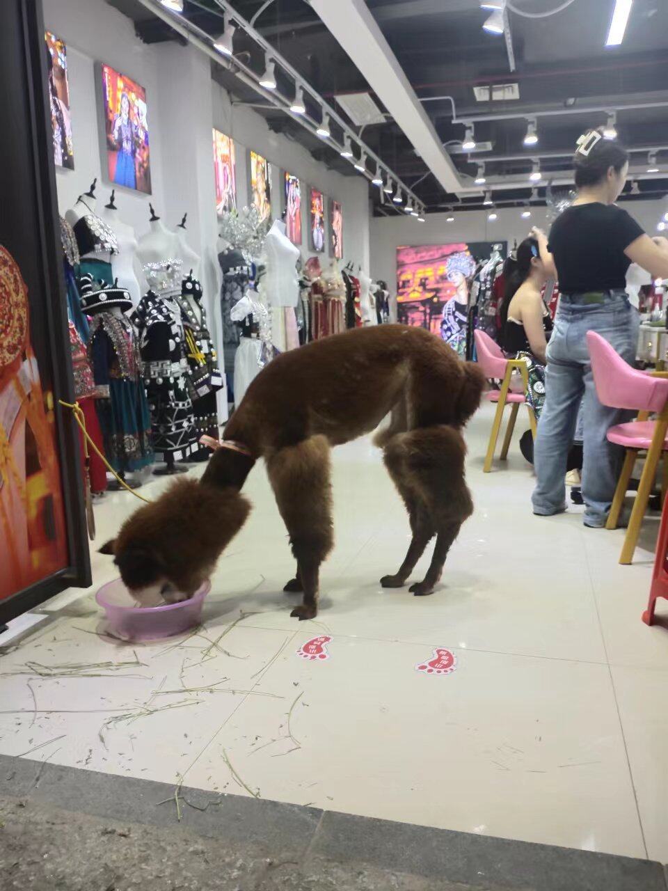 林肯说“你可以在所有的时间欺骗一部分人