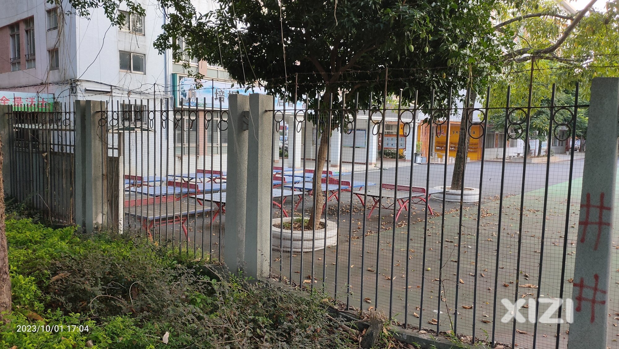 这里有空气这里有土壤可惜没播种子，不培养点新苗子靠吃老本能行吗？