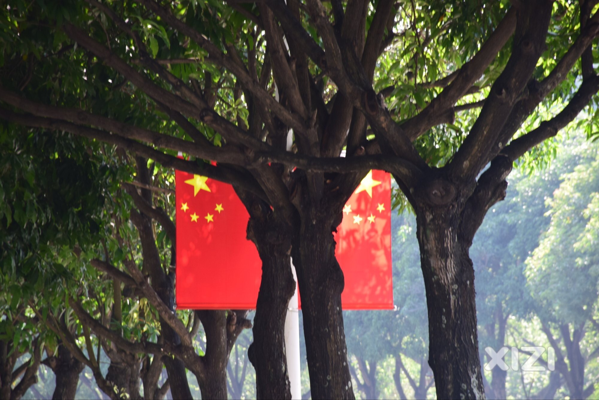 游西湖