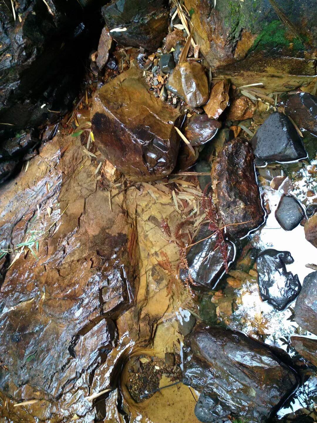 故土情浓赋（之九）
