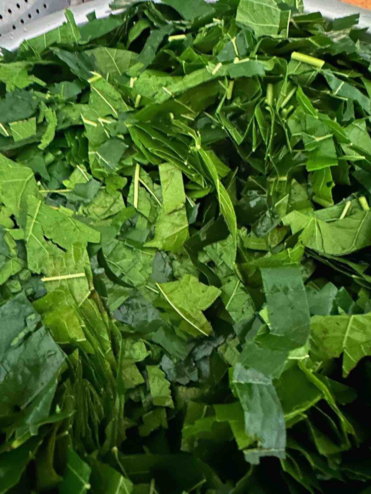 自制桑叶豆腐