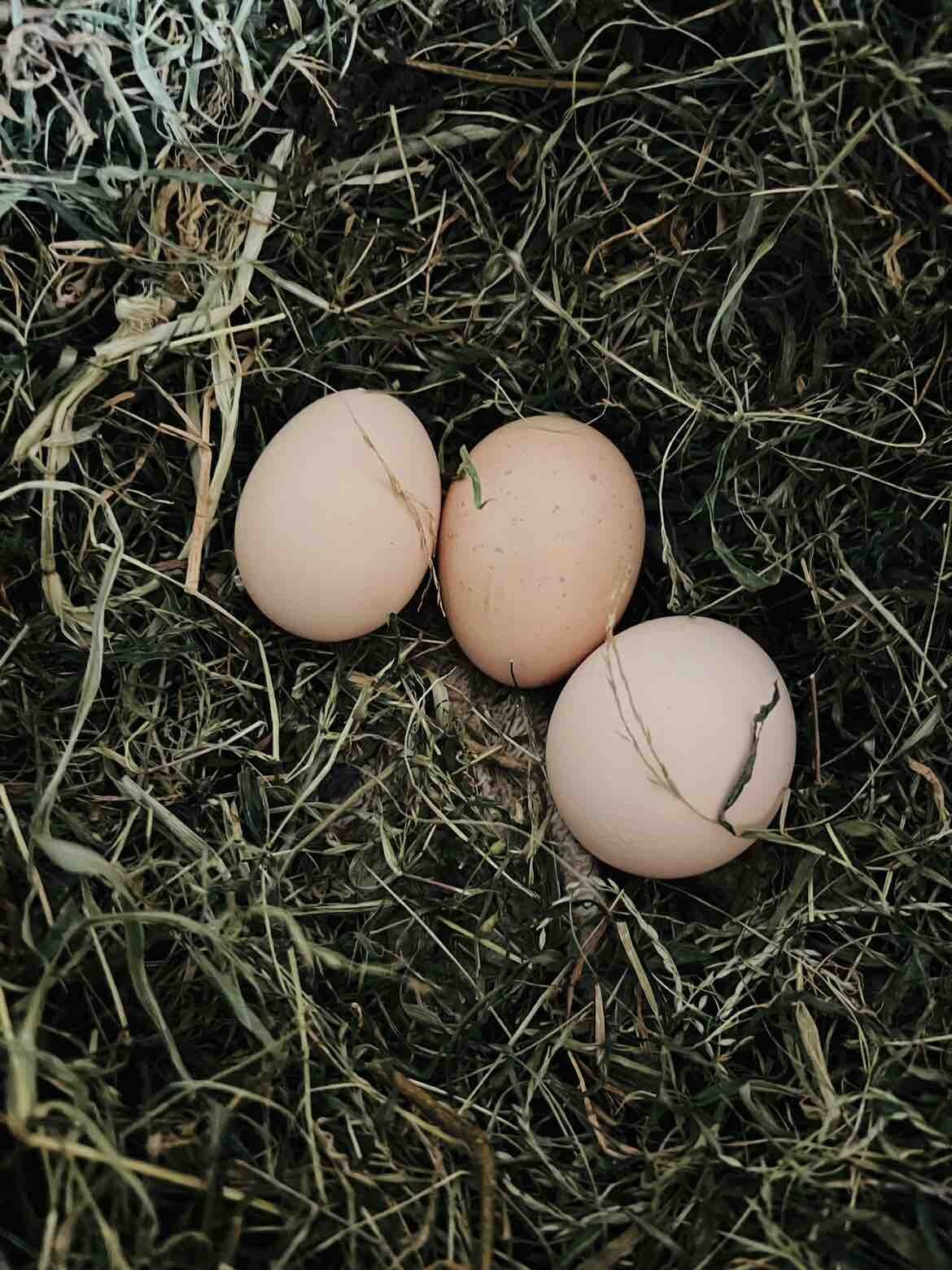 劳动最光荣