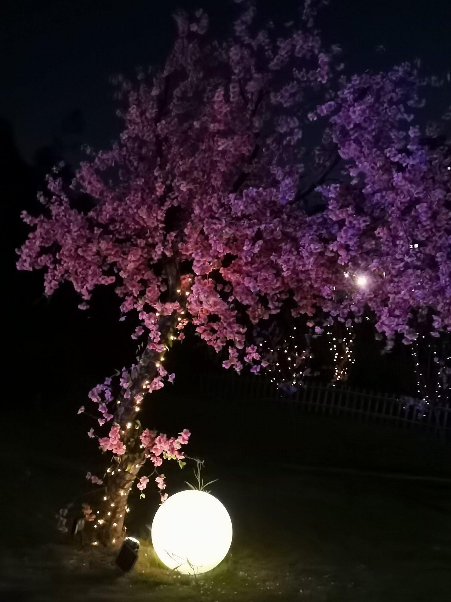 夜遇桃花源