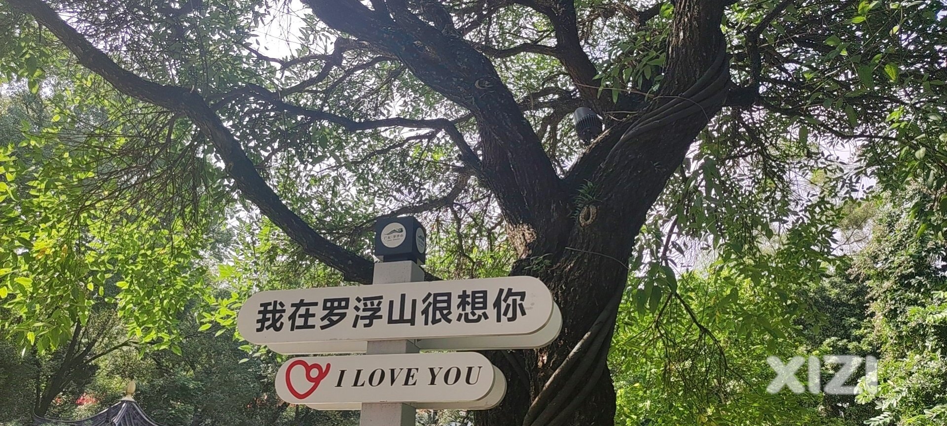 无文案 ，就是觉得美