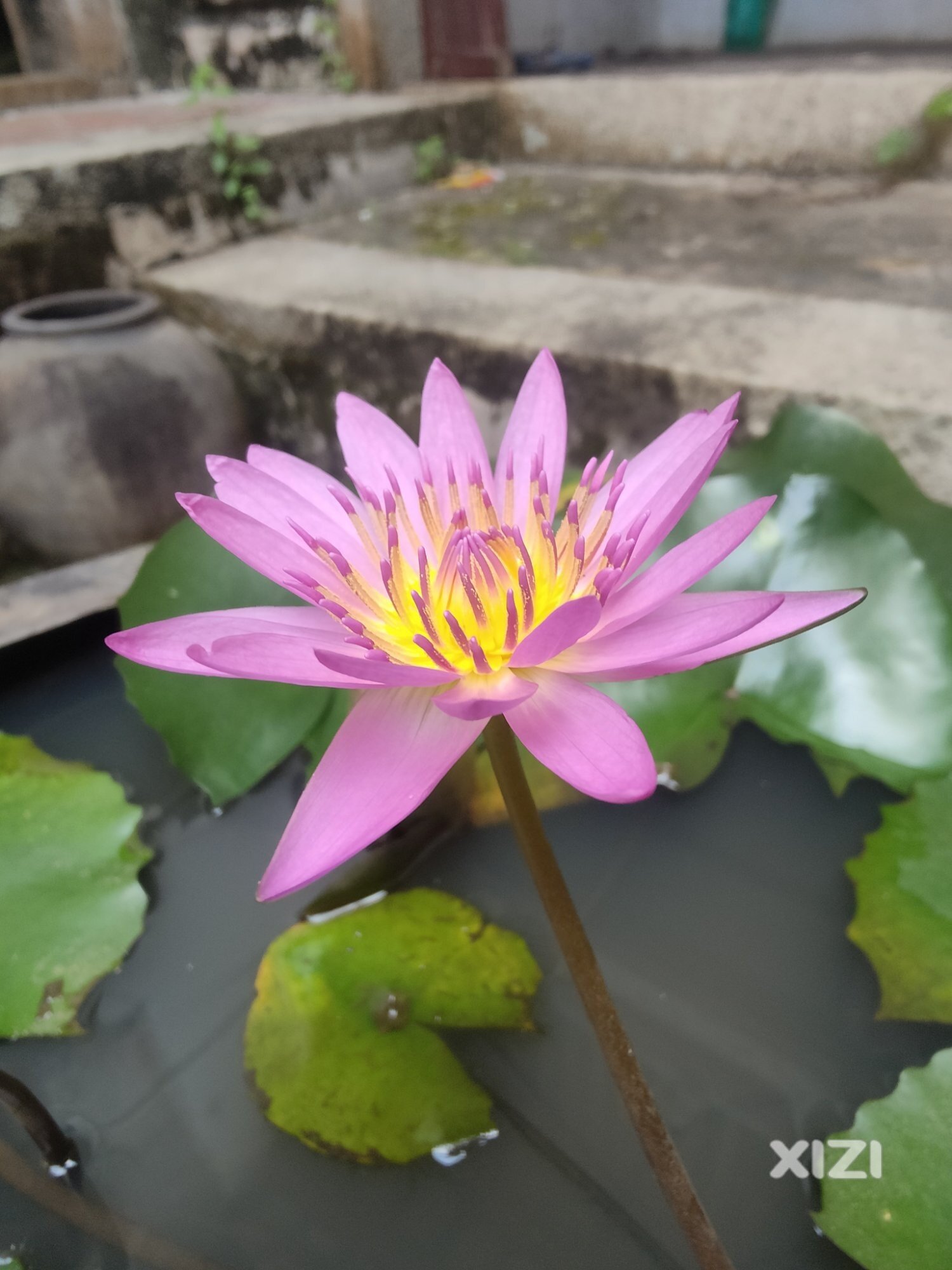 惠风和畅节日快乐