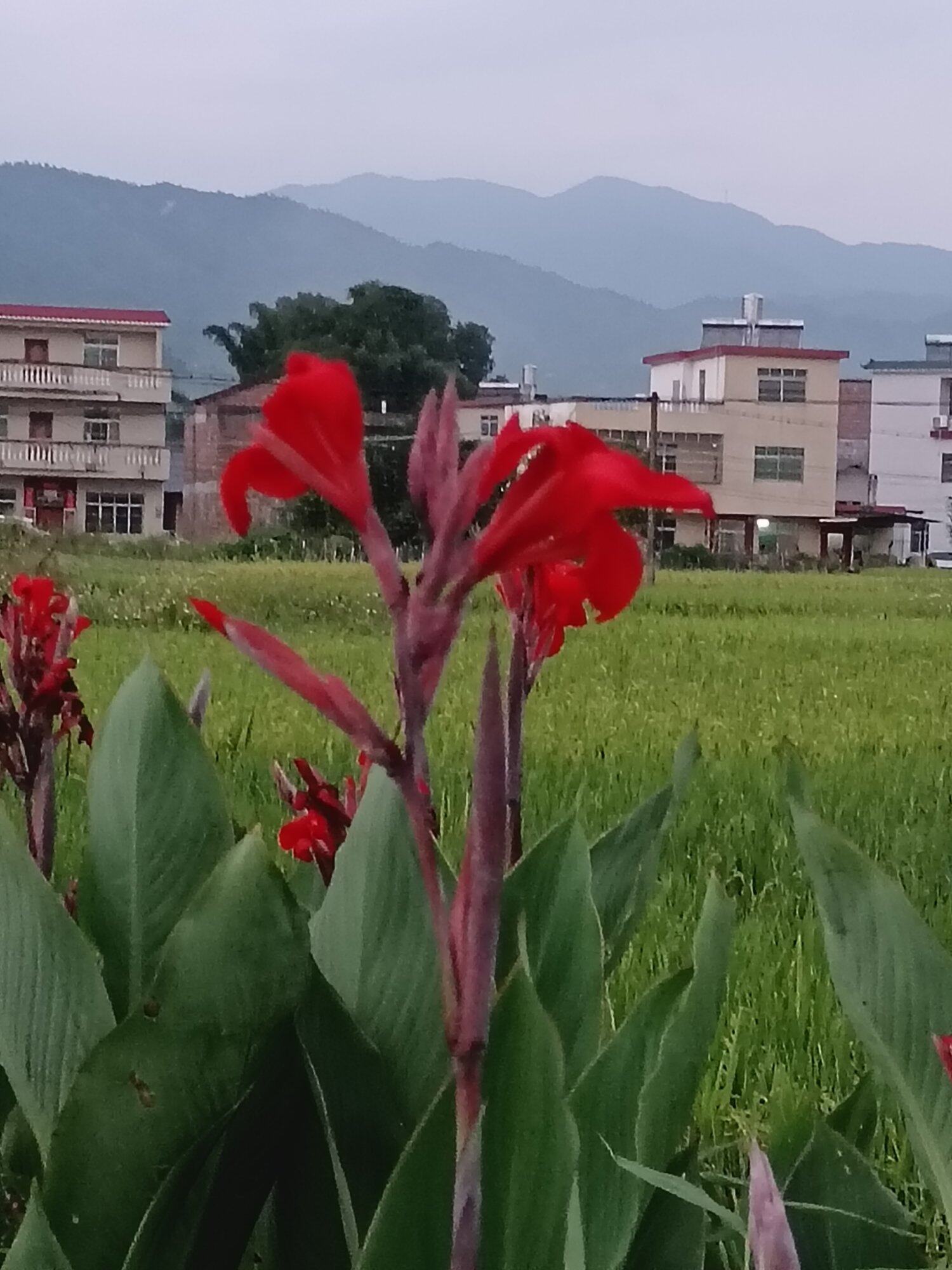 搬砖喽