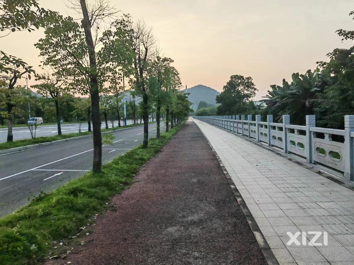 骑行江南大道  路边嘘嘘遇到蛇，蛇蒙了，我也蒙了