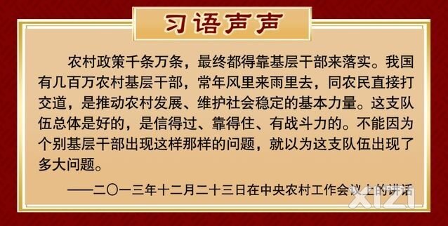 做你想做的，趁阳光正