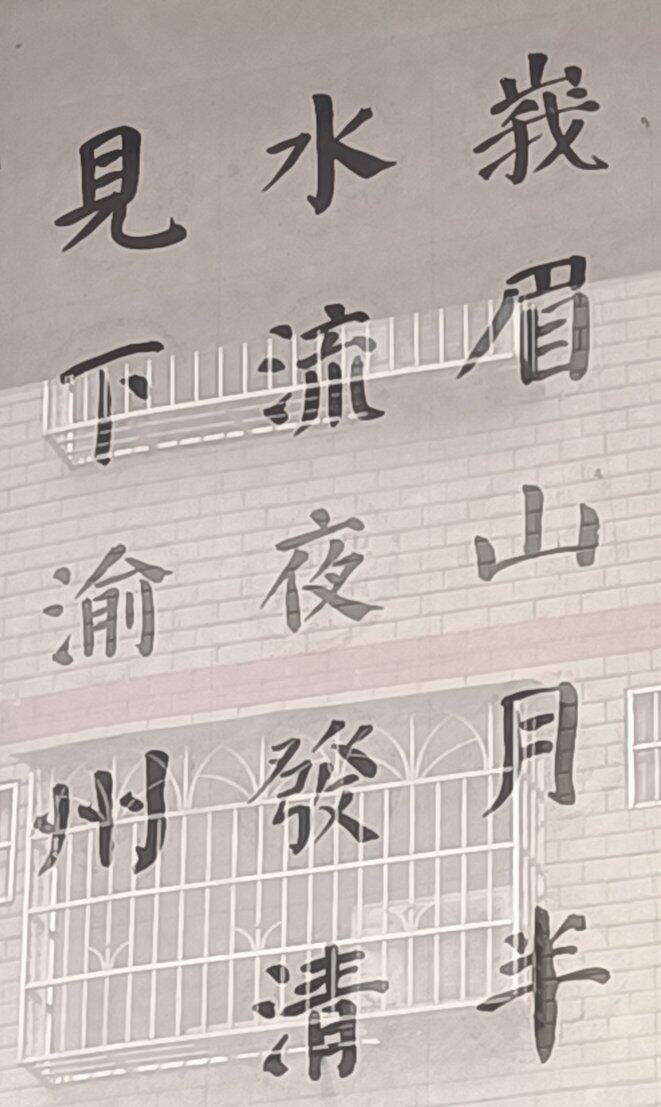 书与摄