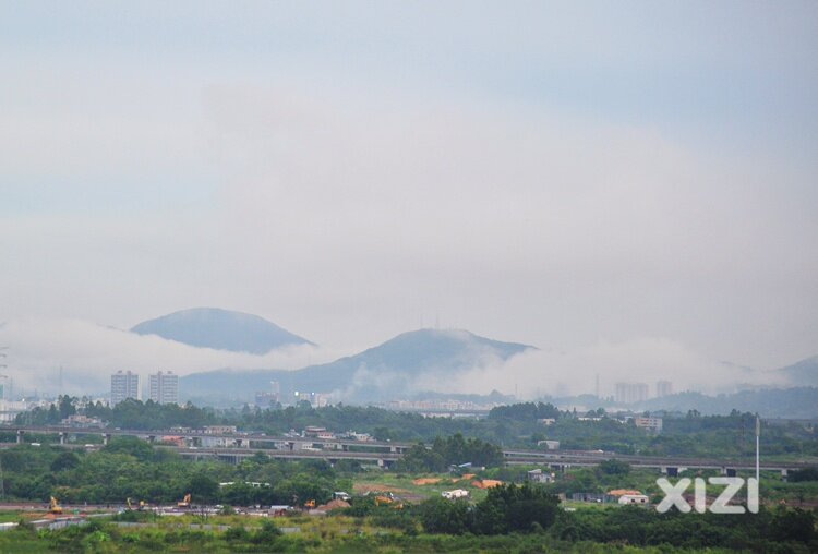 寒露秋雨