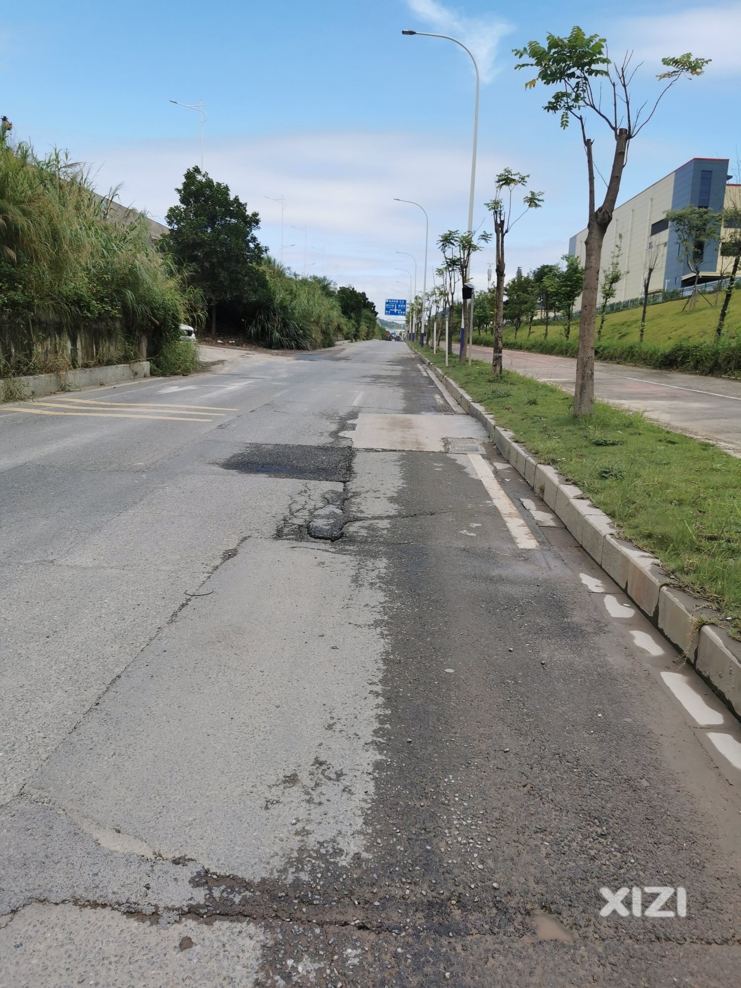 惠新大道无人管理，豆
