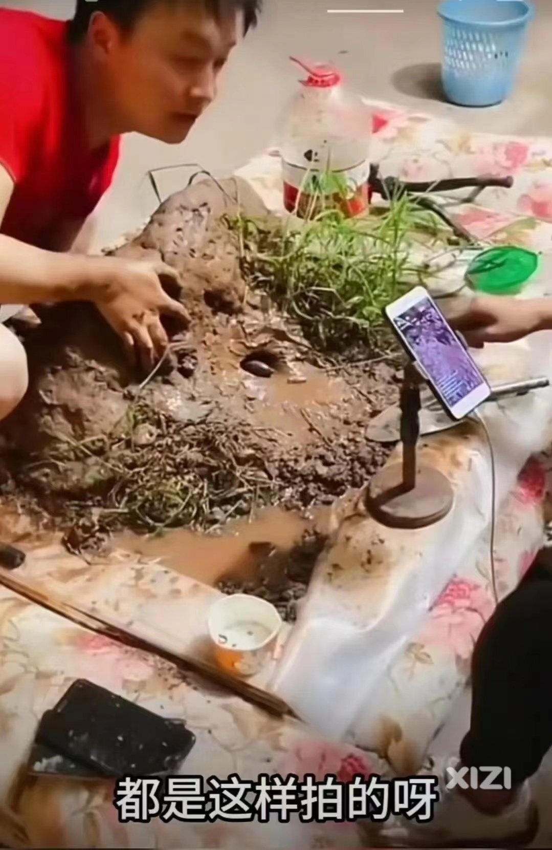 西友们看网络直播吗？