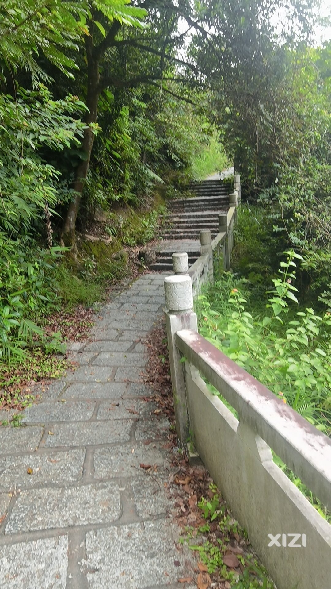 九龙峰山上垃圾到处都是，爱护环境，人人有责！