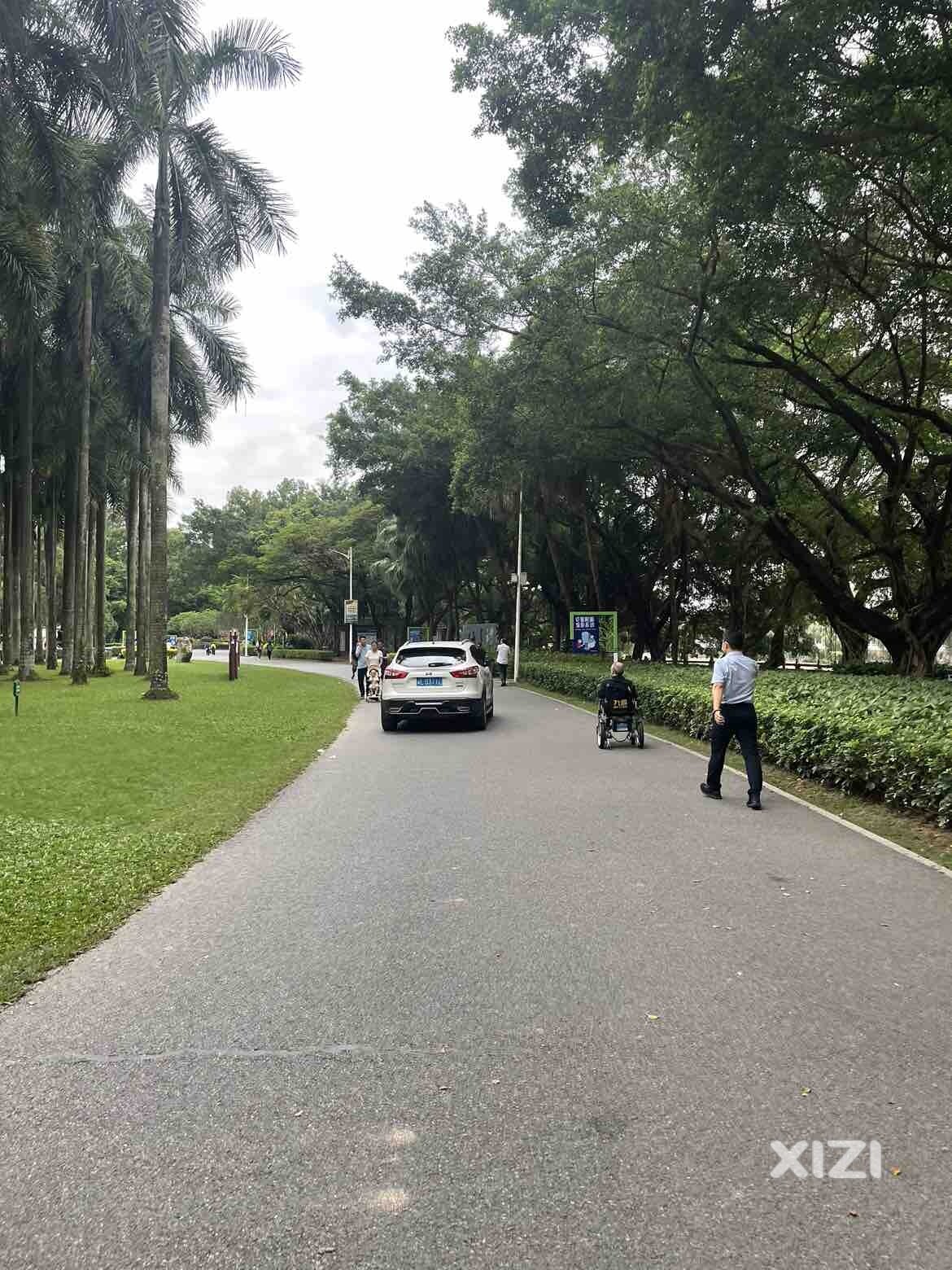 南湖公园内人来人往，何以社会车辆能鸣嘀穿行？