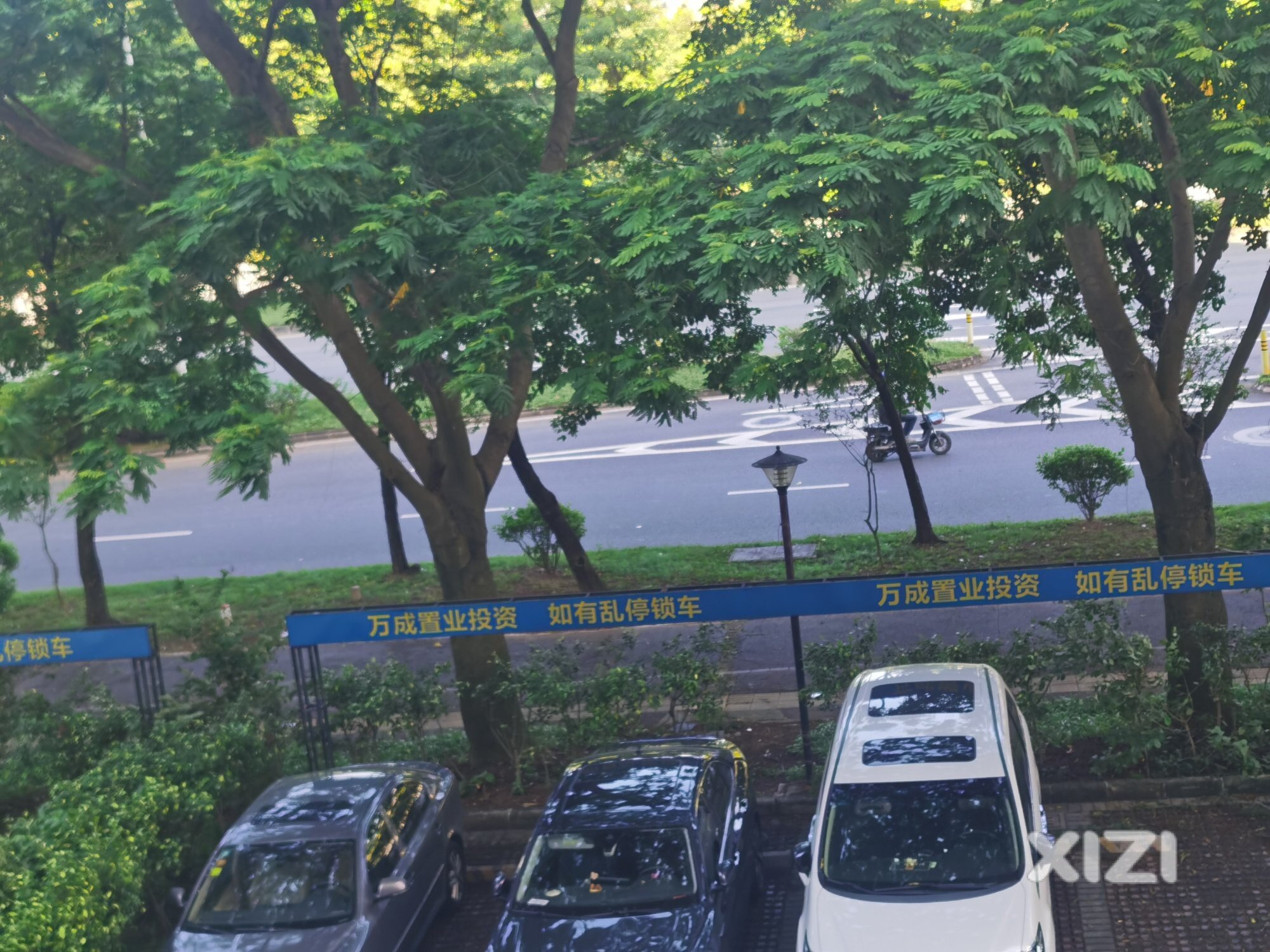 江北三新一村78号鹭