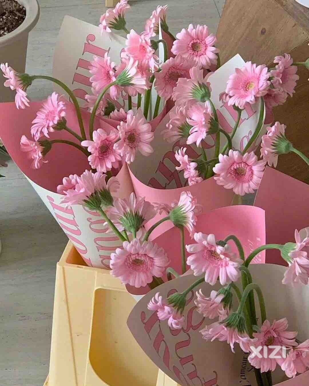 心血来潮