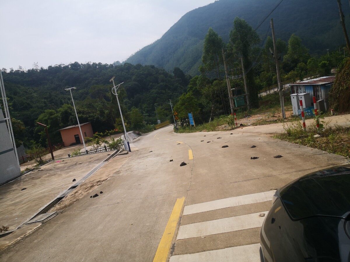 新鲜出炉，找到一个能捡好多牛屎的地方：海丰黄羌镇小路穿越惠东高潭镇中洞