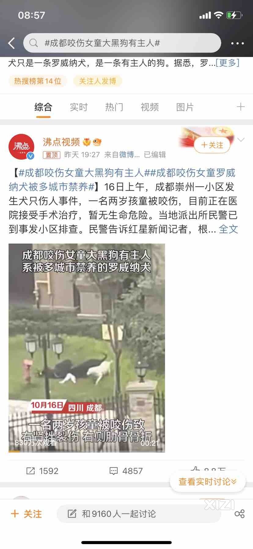 大家看这个视频了吗，
