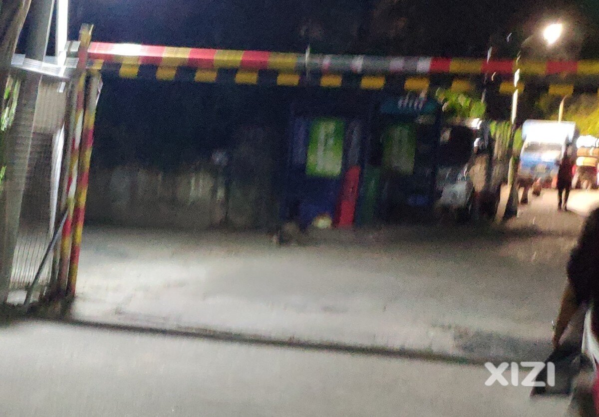我就经常看到放学路上有大只流浪犬