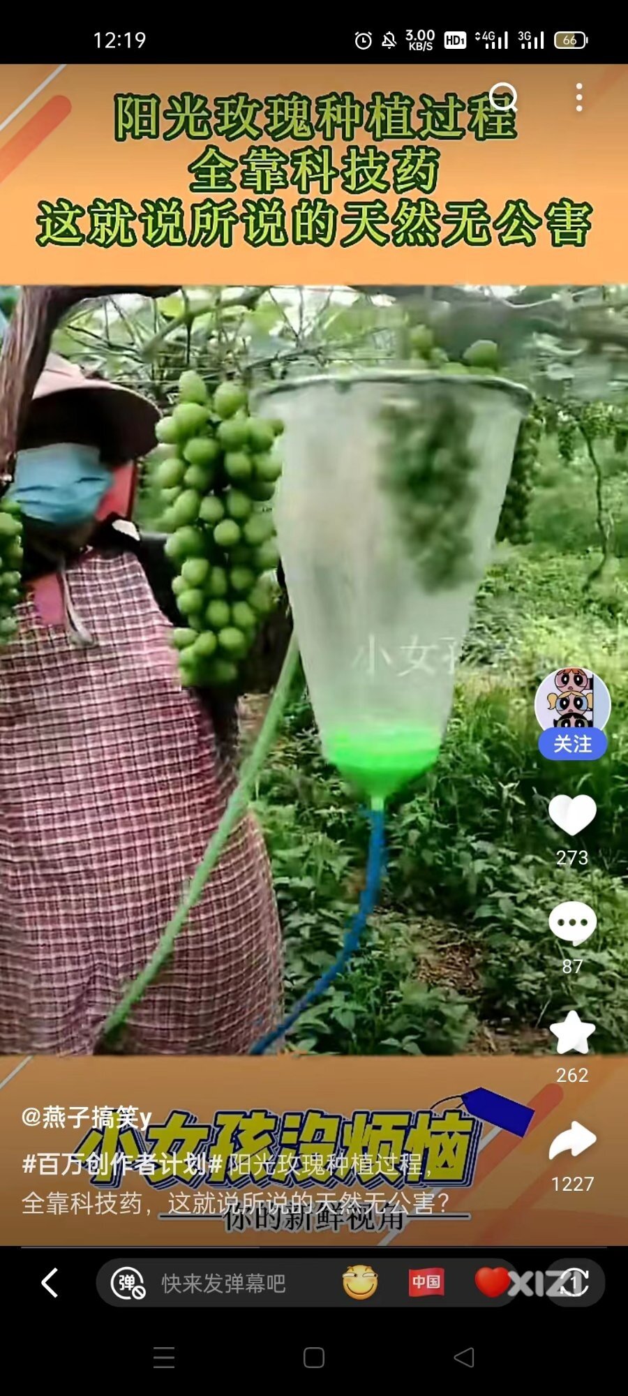 葡萄，爱它，需要勇气