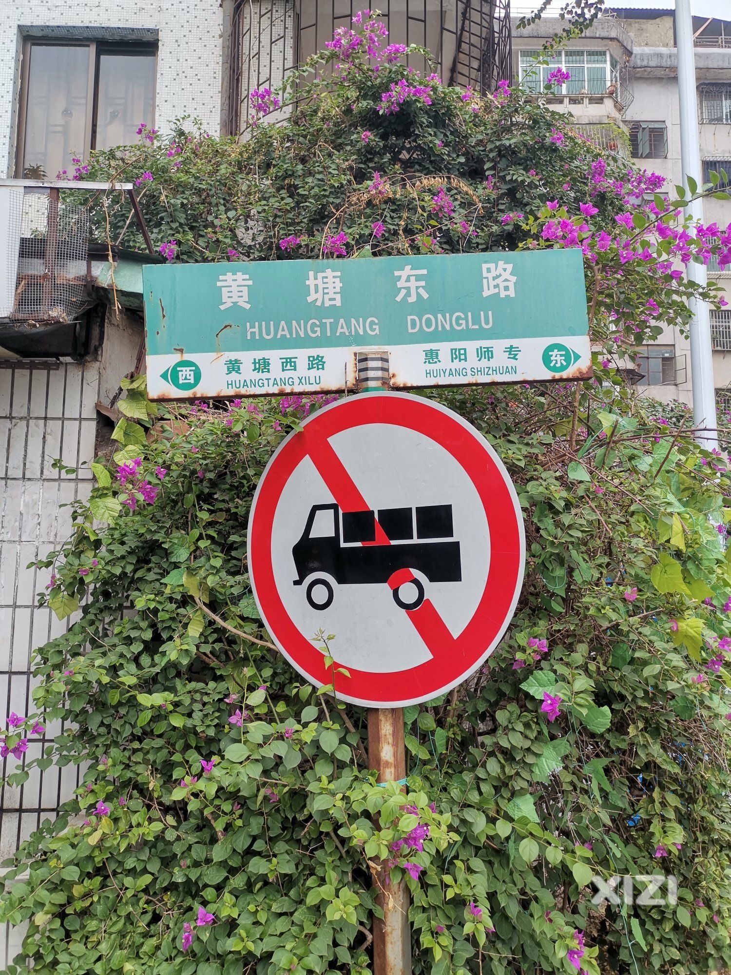 给榕园路及别墅留下个影像