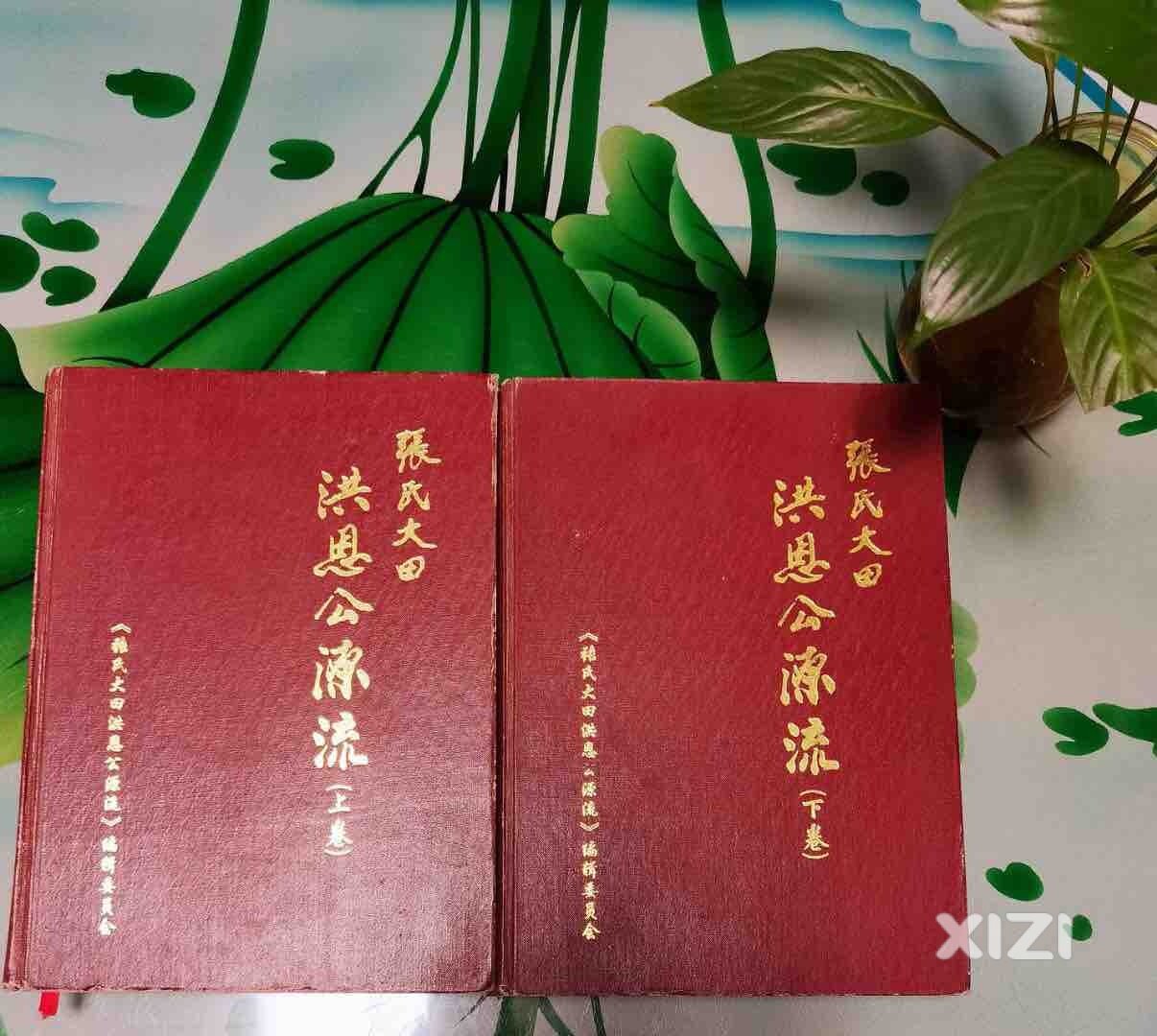 你知道你的祖先从那里来的吗