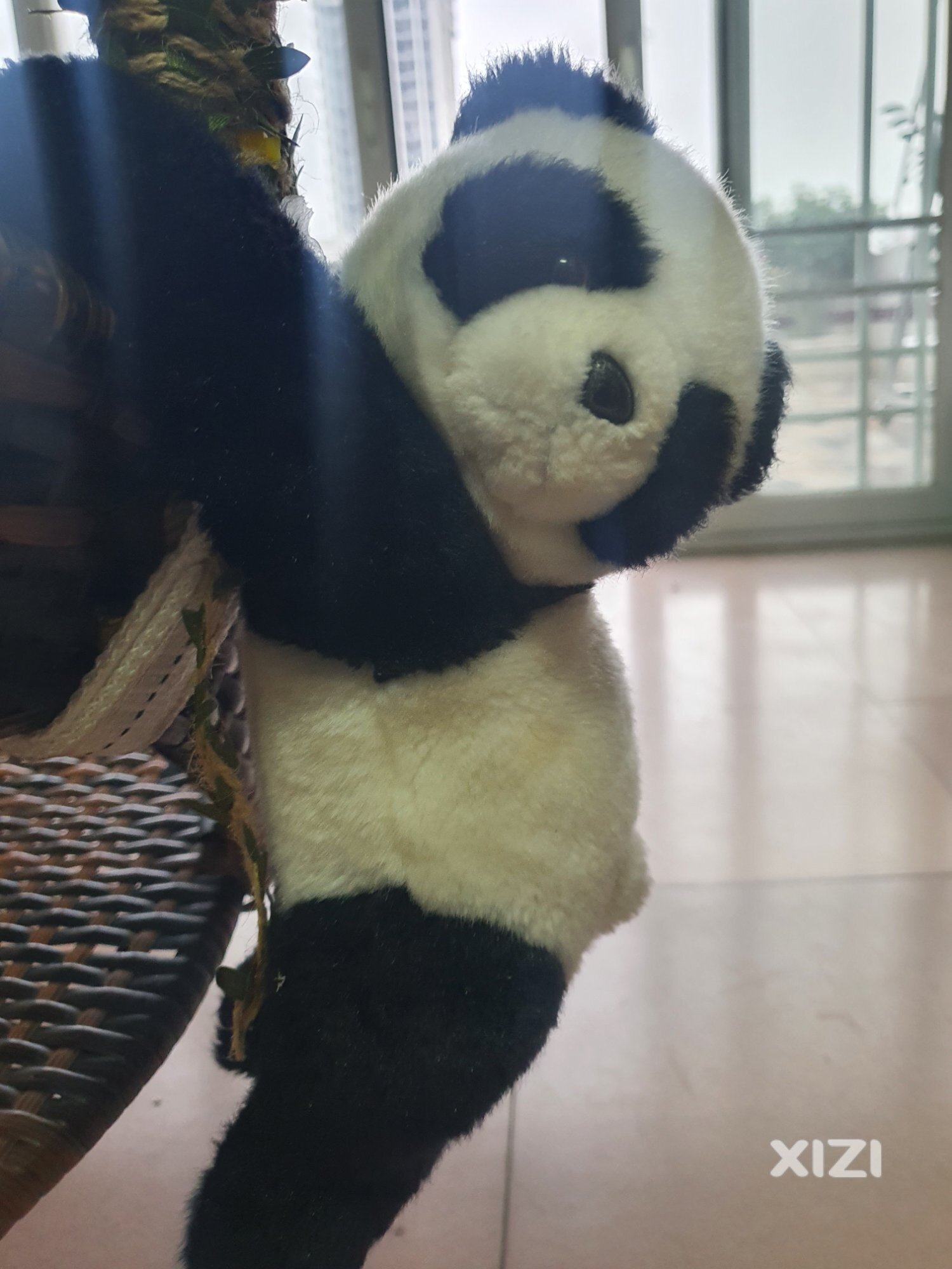 白蚁防治求推荐