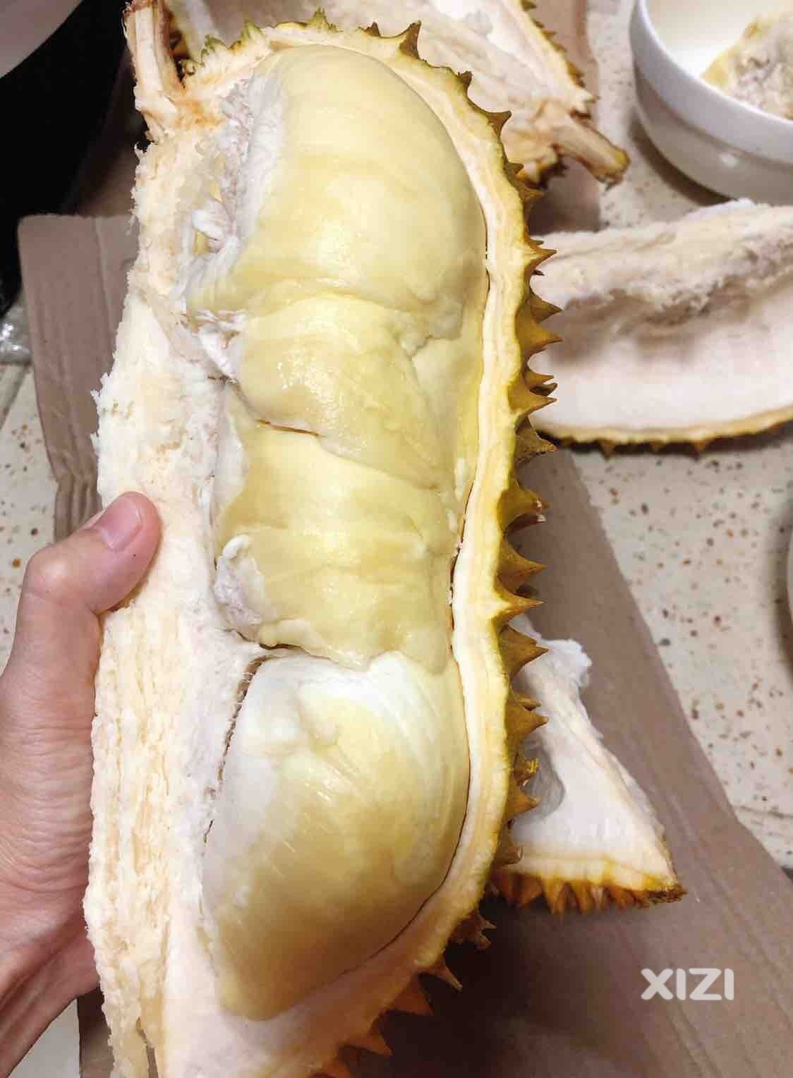 报恩榴莲