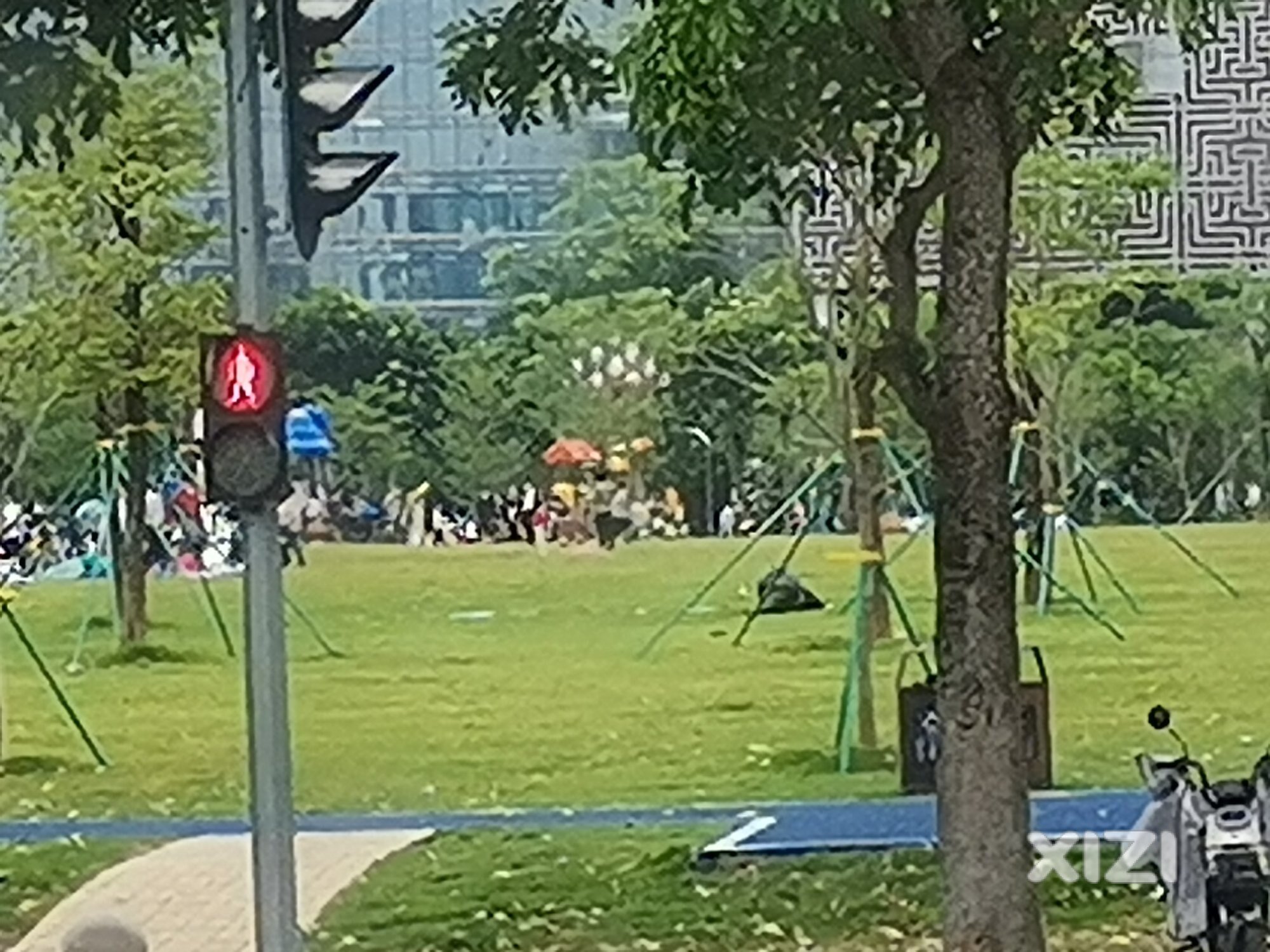 市民乐园市民乐