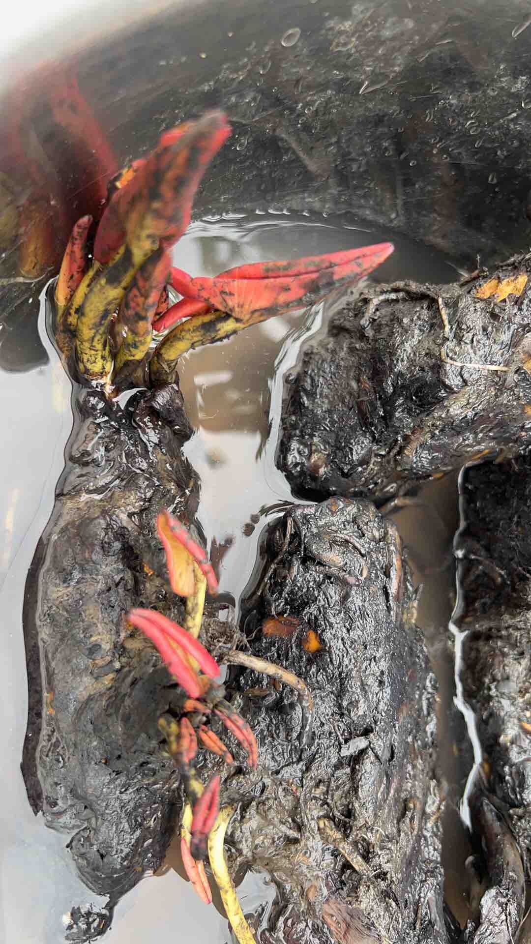 周末就这样结束了