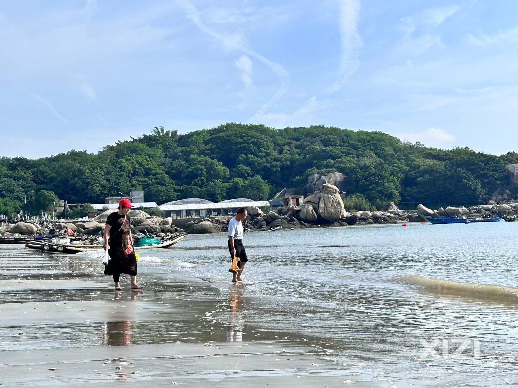 周末赶海真好玩！