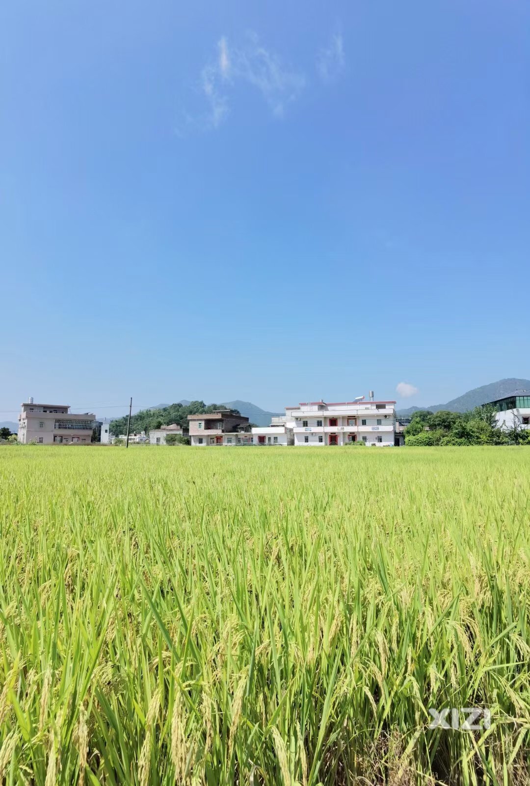 还是老家好玩