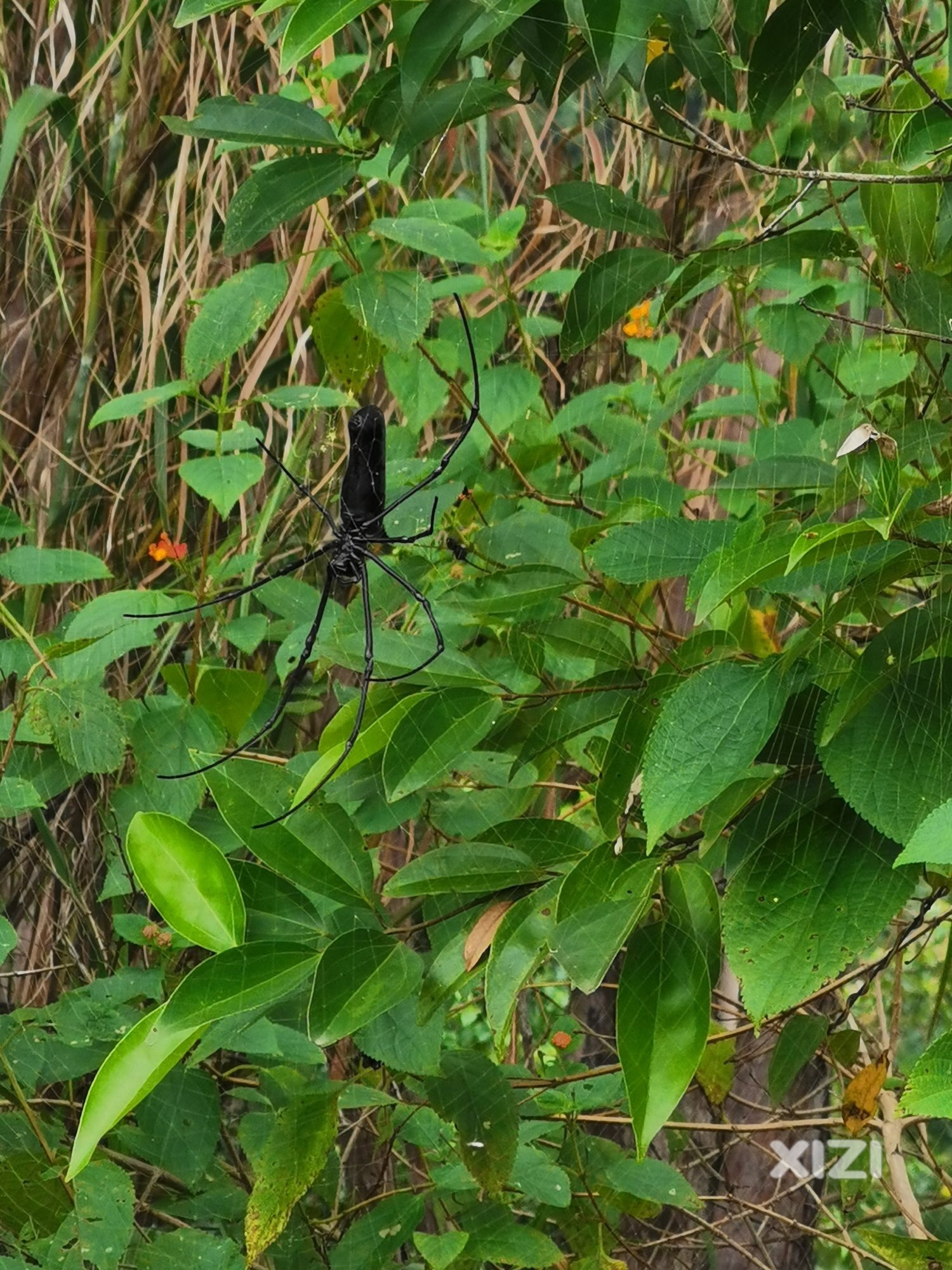 一大早惠大爬山