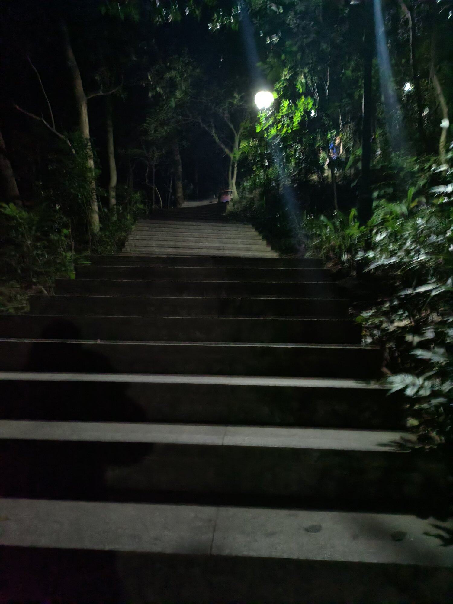 结伴同行
