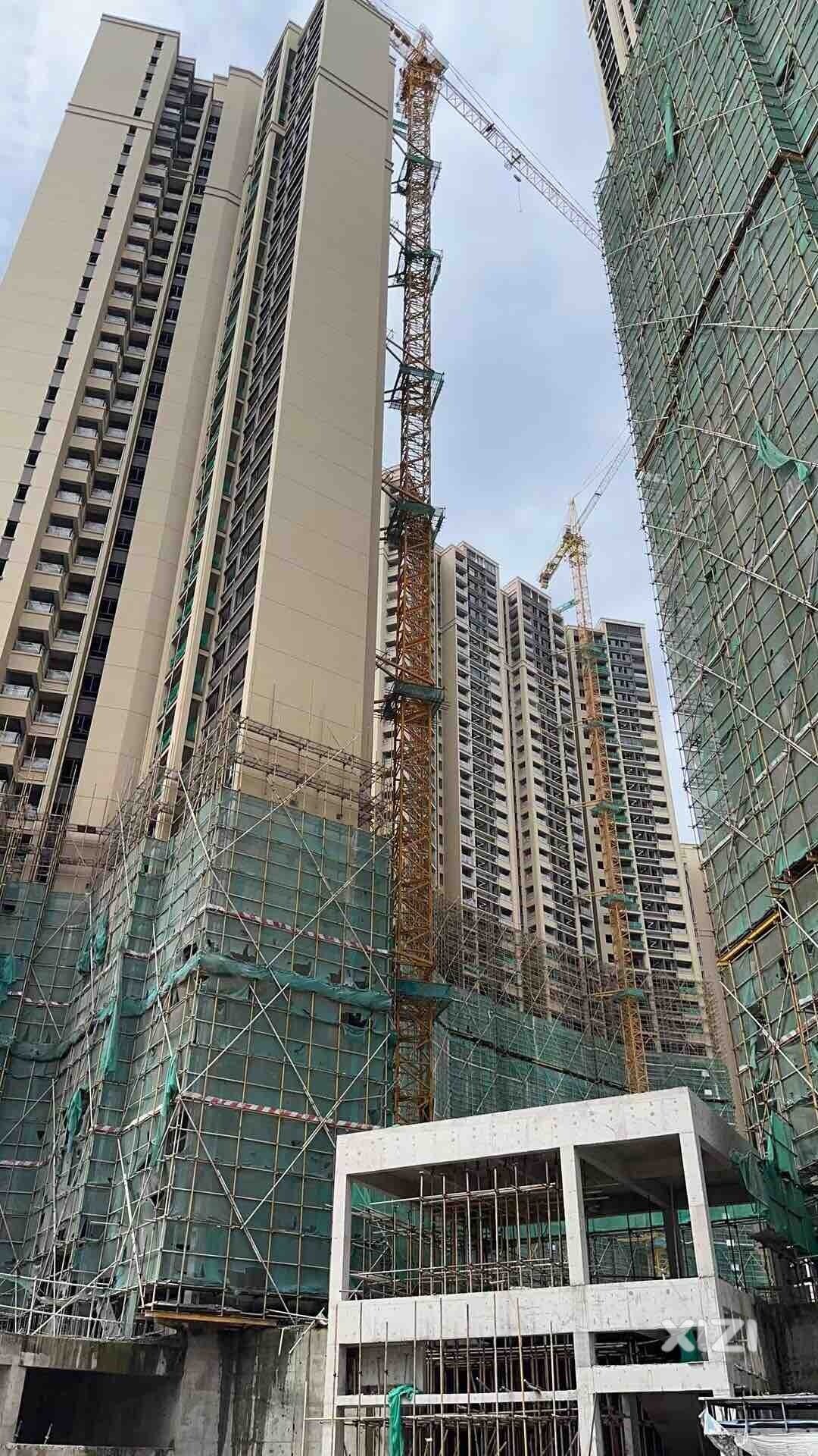 中洲半岛五期与水岸丽