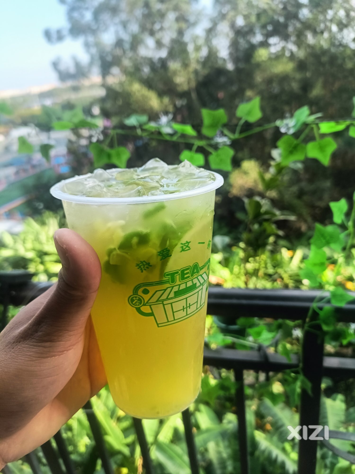 分享柠檬茶的做法