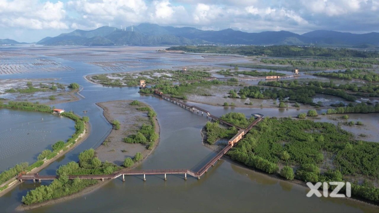 值得去看美景！惠州好招楼红树林湿地公园二期已建好试运营了。