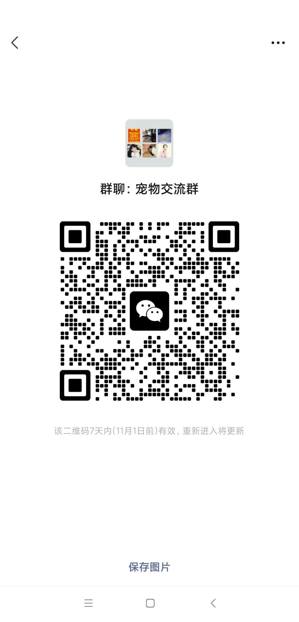 惠城区宠物交流群